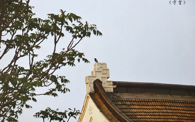 天津医学高等专科学校