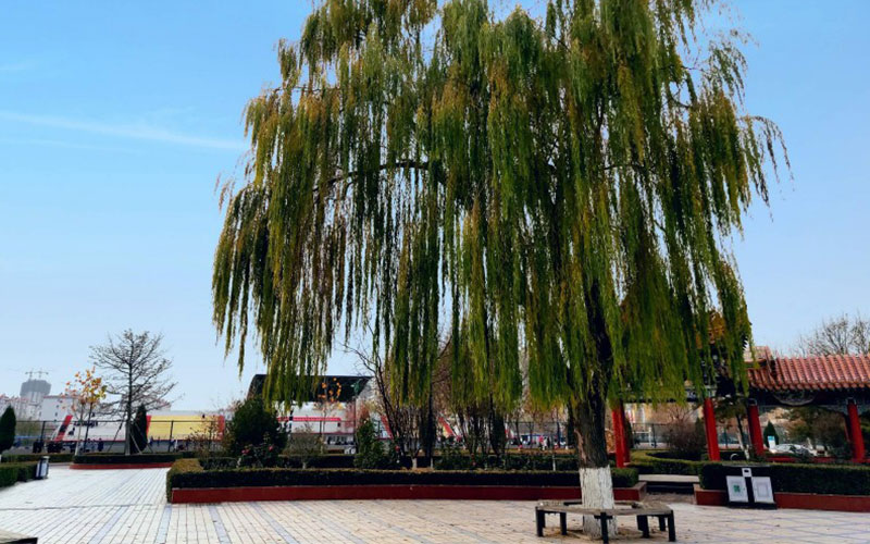 晋中职业技术学院