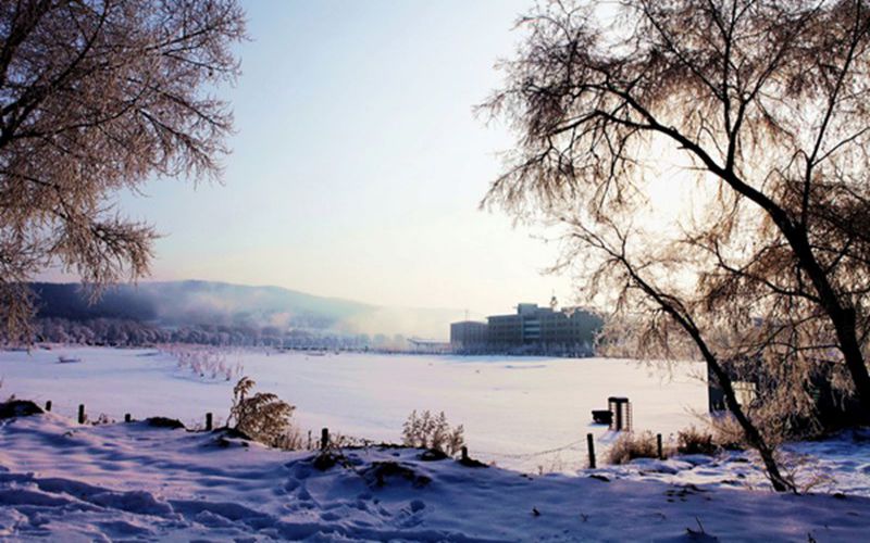 黑龙江农业经济职业学院