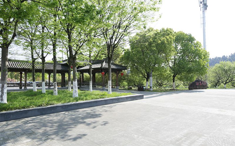 黄山健康职业学院