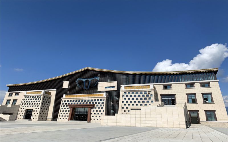 绵阳飞行职业学院