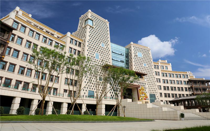 绵阳飞行职业学院