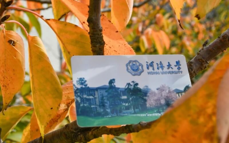 河海大学