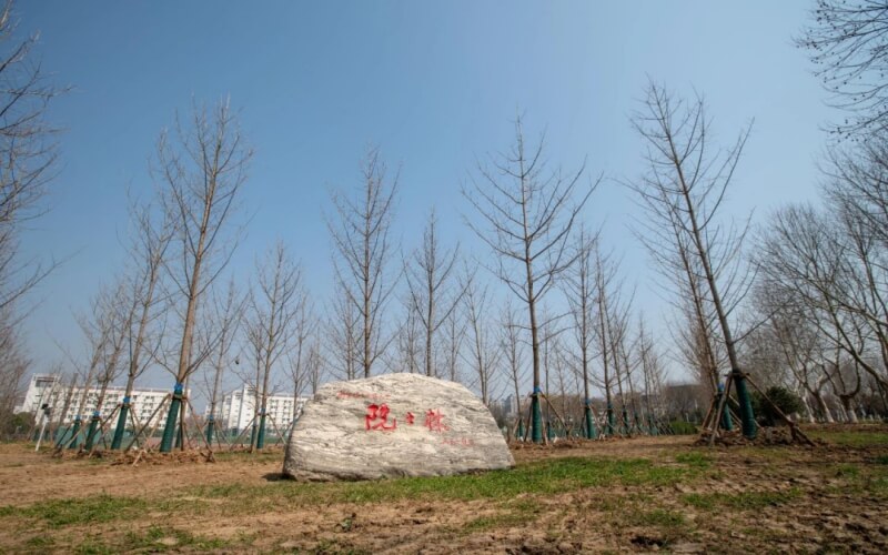 南京信息工程大学