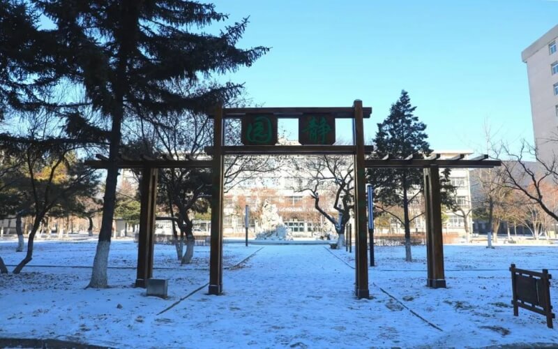 辽宁石油化工大学