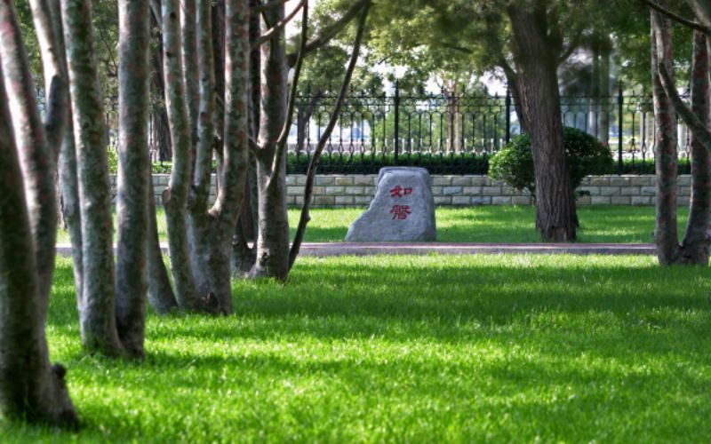 中国科学院大学