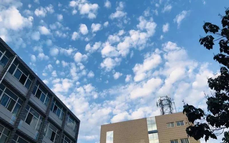 宁夏大学新华学院