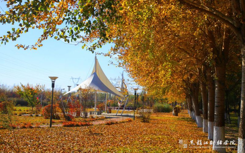 黑龙江财经学院