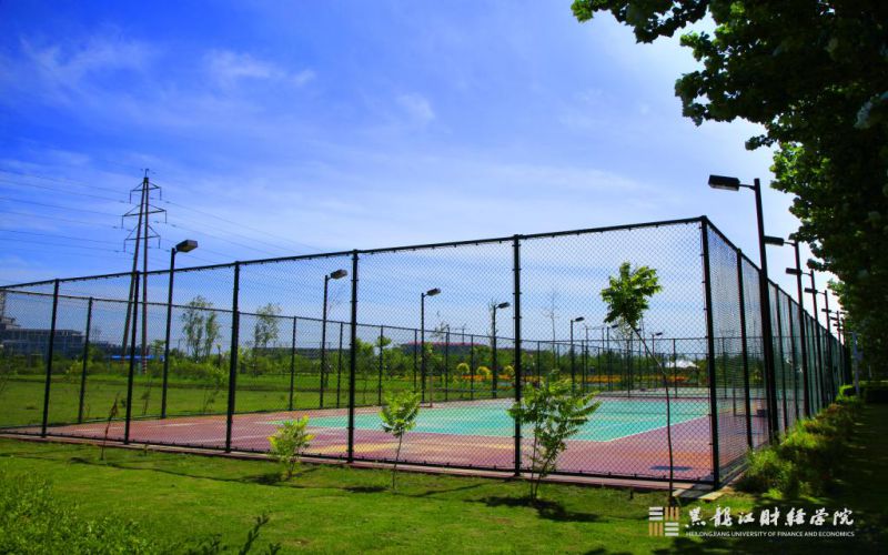 黑龙江财经学院