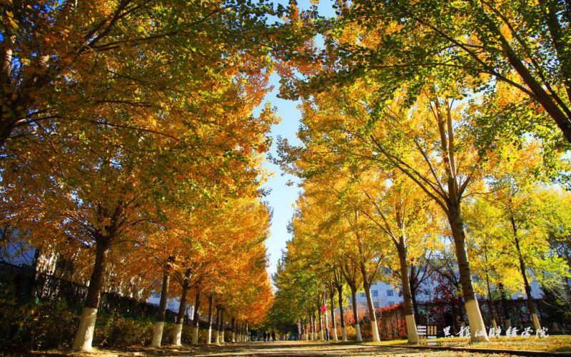 黑龙江财经学院