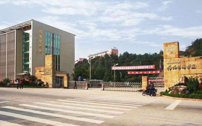 四川文化艺术学院