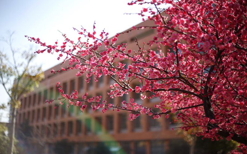 浙江财经大学东方学院