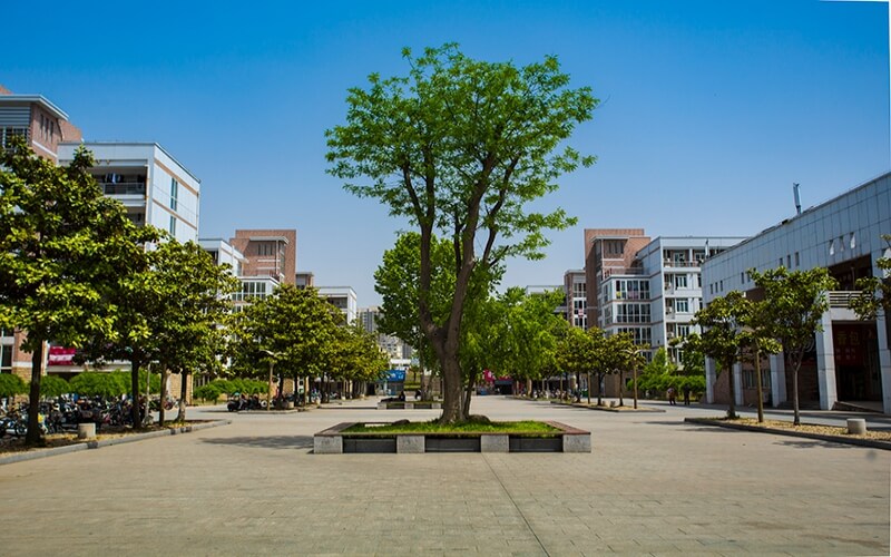 江苏电子信息职业学院