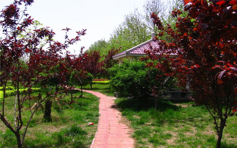 郑州财税金融职业学院