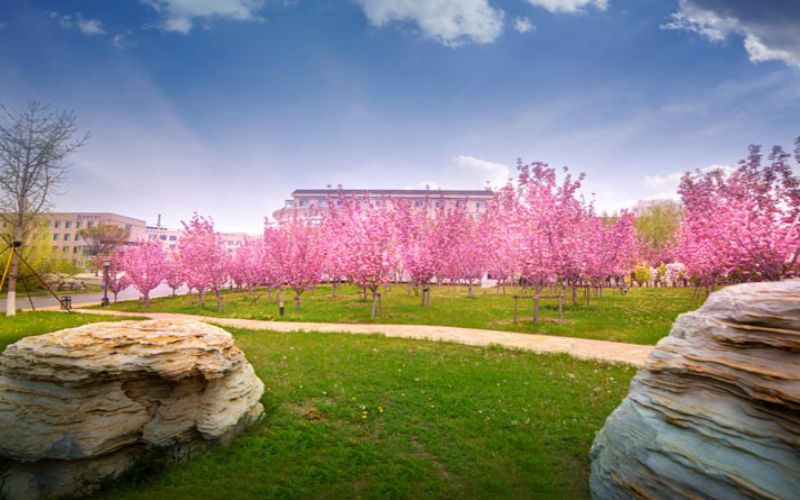 辽宁税务高等专科学校