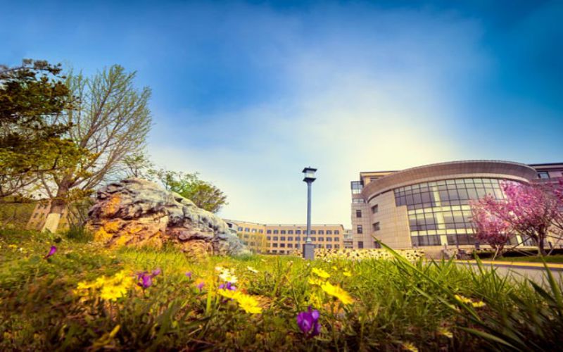 辽宁税务高等专科学校