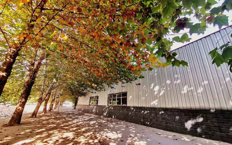 石家庄城市经济职业学院