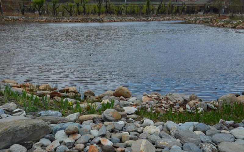 大理护理职业学院