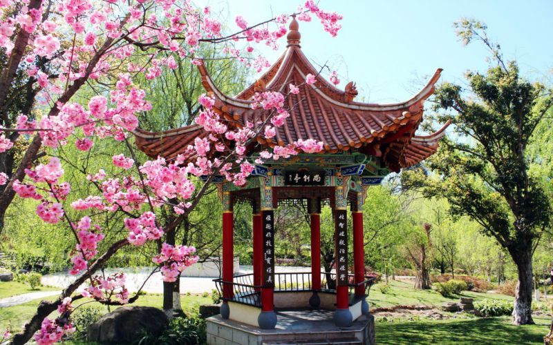 云南交通运输职业学院