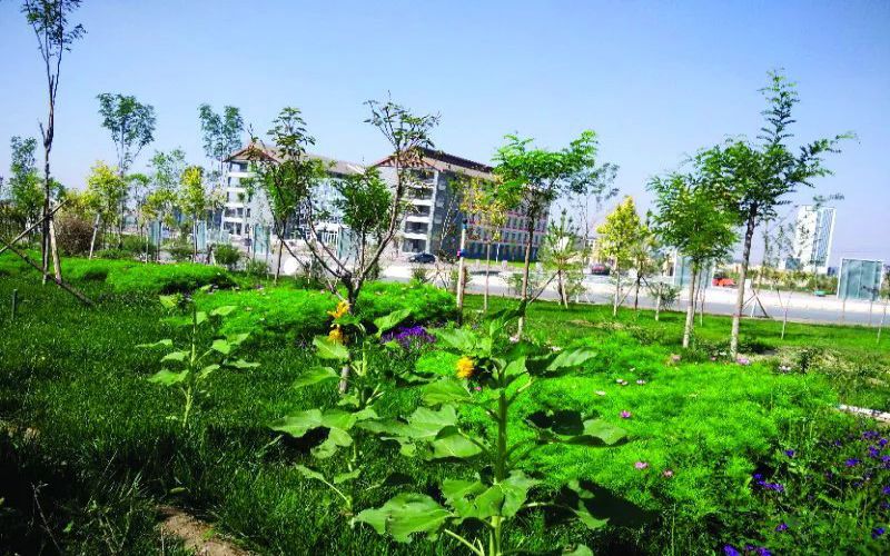 甘肃财贸职业学院