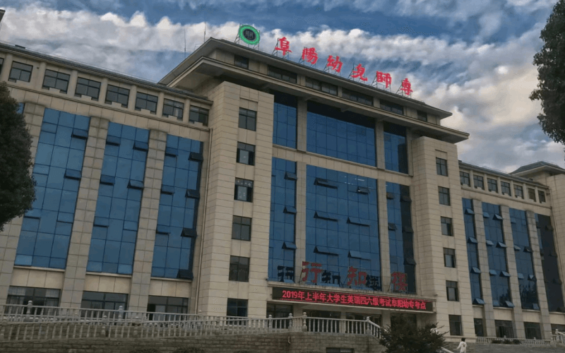 阜阳幼儿师范高等专科学校