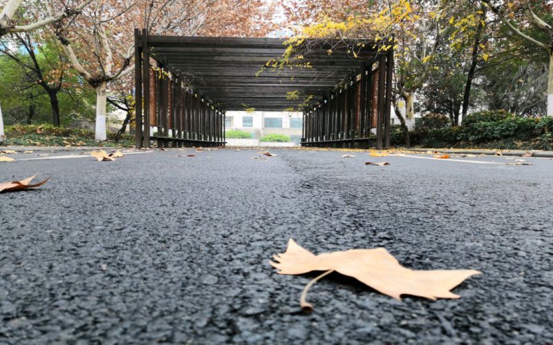 阜阳幼儿师范高等专科学校