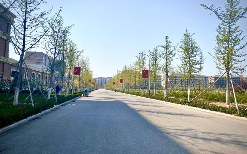 烟台黄金职业学院