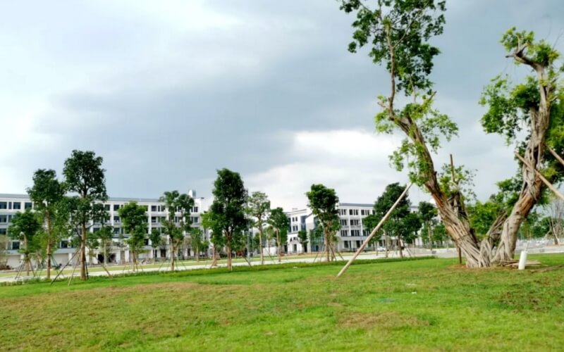 广西物流职业技术学院