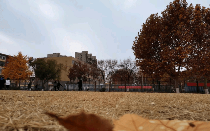 保定幼儿师范高等专科学校