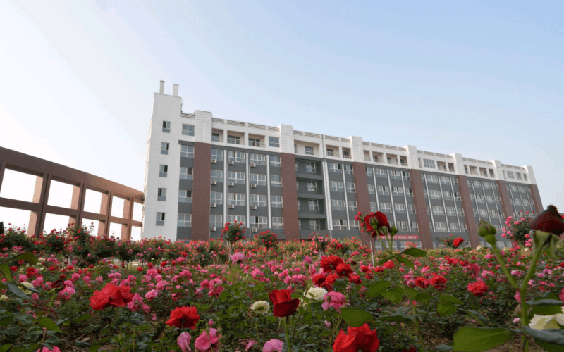 河南工业和信息化职业学院