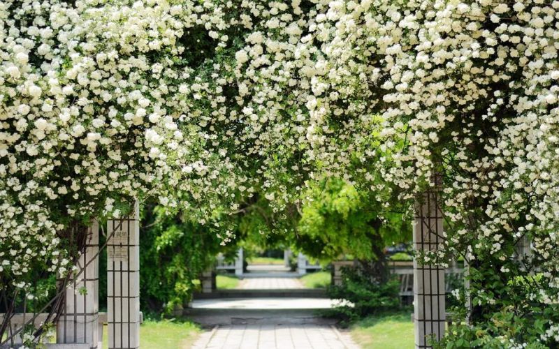 徐州生物工程职业技术学院