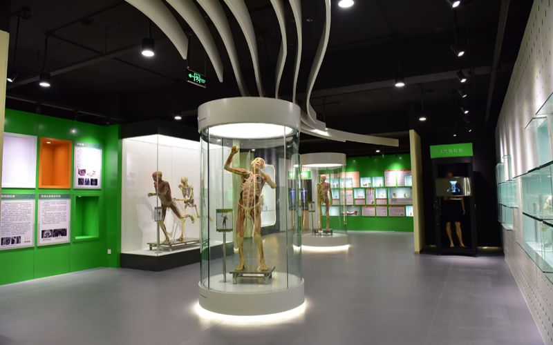 河南护理职业学院