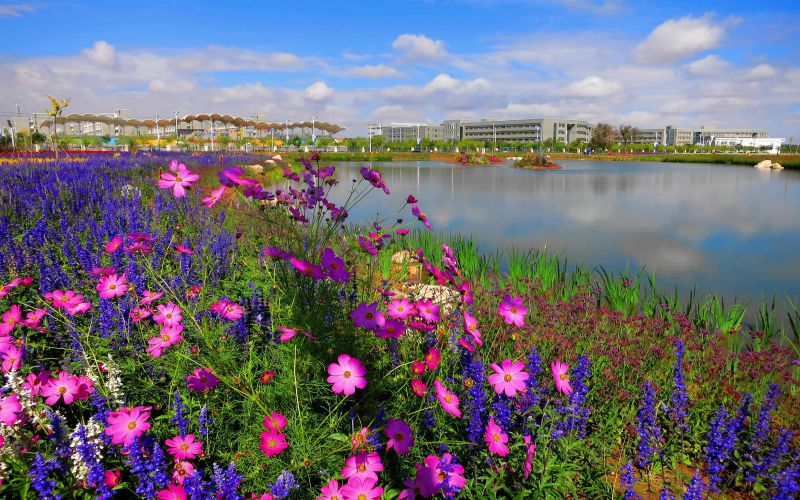 甘肃有色冶金职业技术学院