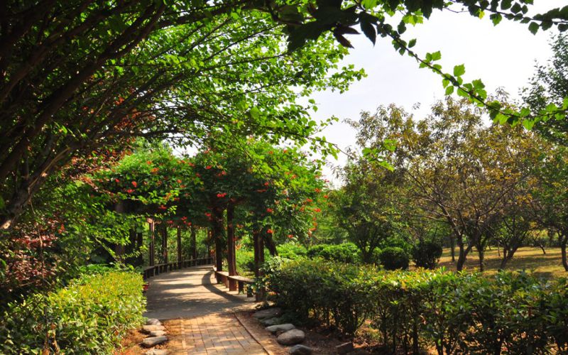 鹤壁汽车工程职业学院