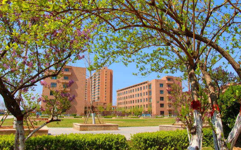 山西青年职业学院