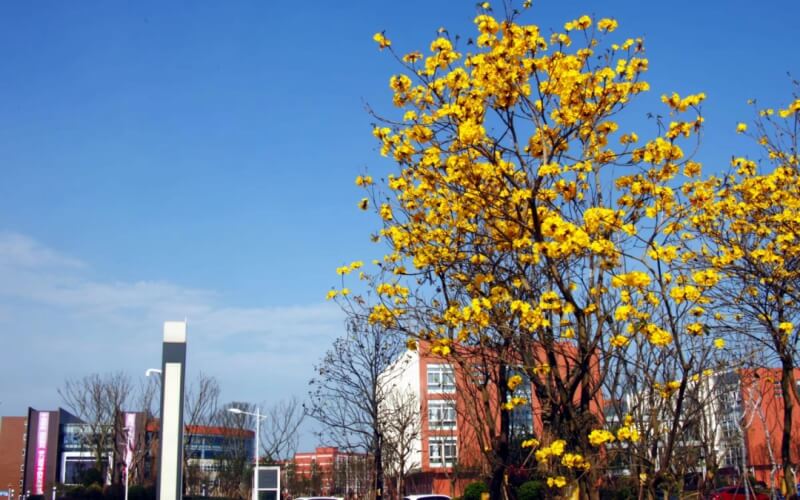 乐山职业技术学院