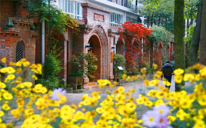 四川国际标榜职业学院