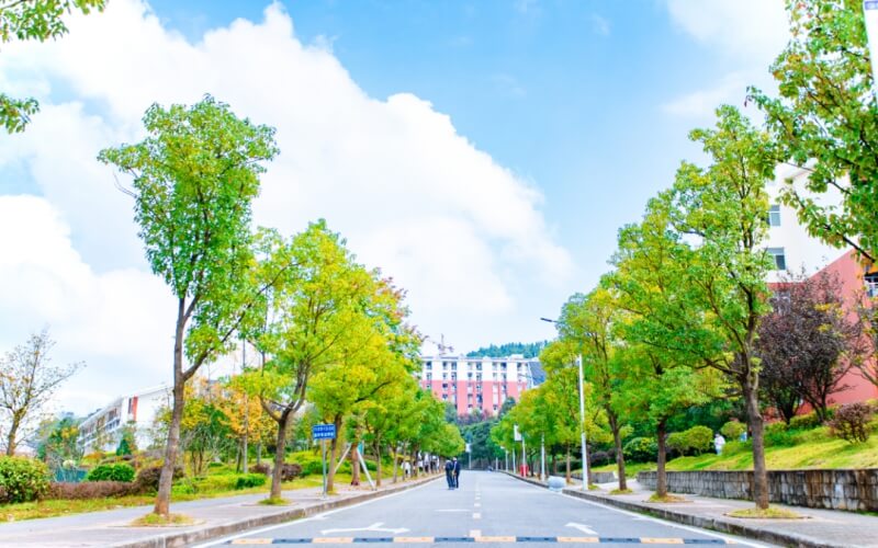 黔东南民族职业技术学院