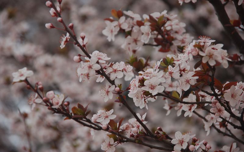 郑州工业安全职业学院