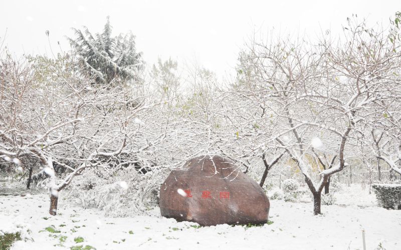 济源职业技术学院