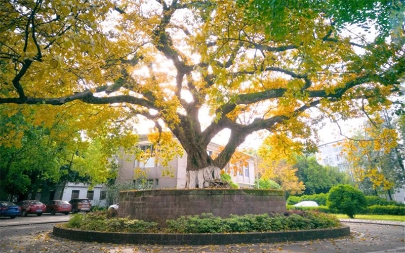 宜宾职业技术学院