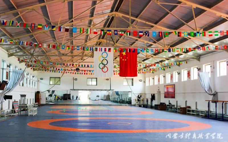 内蒙古体育职业学院