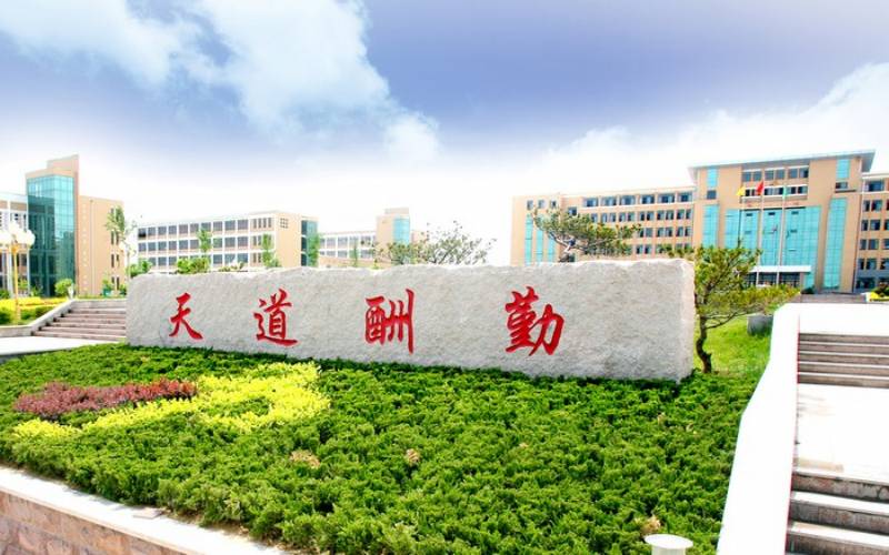 山东现代学院