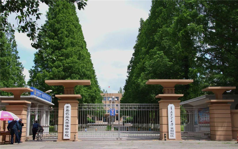 青岛农业大学海都学院