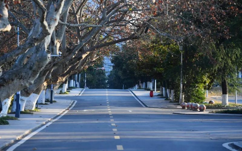 中国科学技术大学