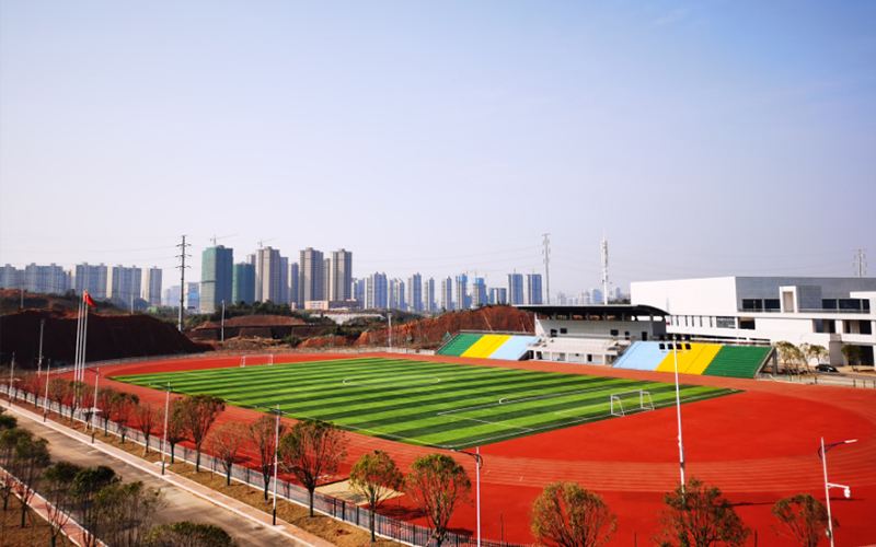 湖南汽车工程职业大学