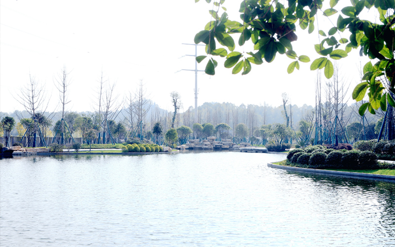 湖南汽车工程职业大学