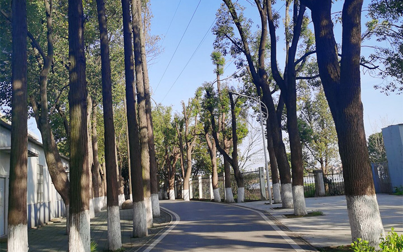 湖北铁道运输职业学院