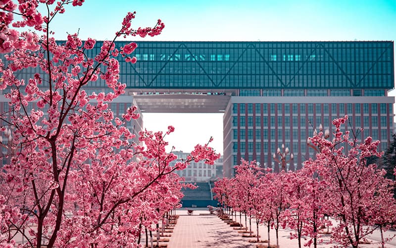 云南理工职业学院