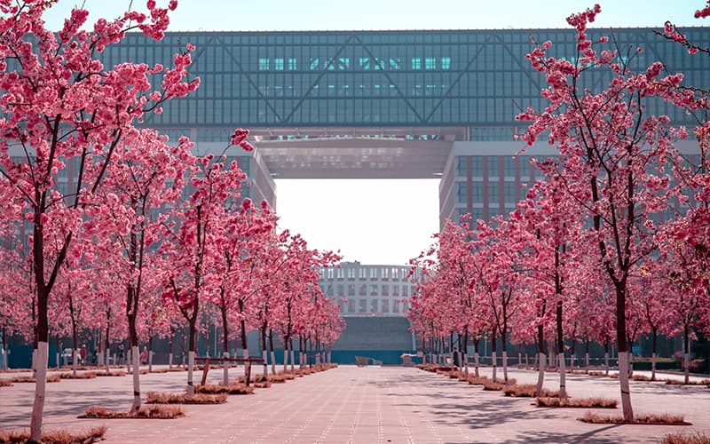 云南理工职业学院